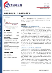 业绩持续高增长,气体规模快速扩张
