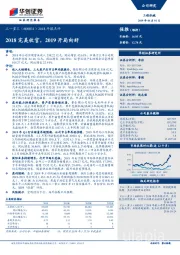 2018年报点评：2018完美收官，2019开局向好