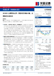 2019Q1业绩预告点评：影游项目储备丰富，业绩确定估值低位