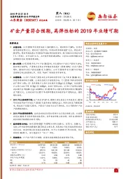 矿金产量符合预期，高弹性标的2019年业绩可期