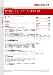 三利谱深度报告:国产偏光片龙头,大尺寸进入高速成长期
