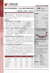 年报点评：经纪自营表现较弱，多元化国际化稳步推进