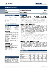 2018年年报点评:业绩大幅增长,产业链全面发展