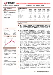 业绩靓丽，2019期待新品种放量