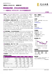 2018年度报告点评：营收增速亮眼，多元化布局初现成效