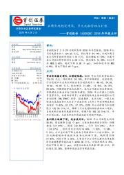 2018年年报点评：业绩实现稳定增长，多元化融资助力扩张