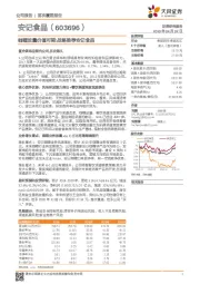 咖喱放量价值可期，战略推荐安记食