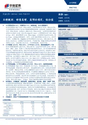 2018年报点评：业绩靓丽、销售高增，高预收锁定、低估值