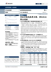 2018年报业绩点评：风机价格战拖累业绩，密切关注降本进程