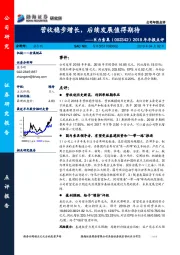 2018年年报点评：营收稳步增长，后续发展值得期待