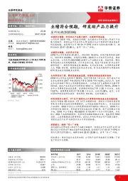 年报点评:业绩符合预期,研发助产品力提升