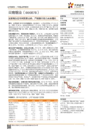 加速淘汰低毛利贸易业务,产能提升助力未来增长