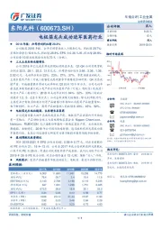 电极箔龙头成功进军医药行业