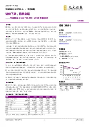 2018年报点评：钴价下跌，拖累业绩