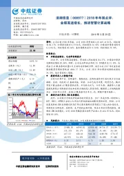 2018年年报点评：业绩高速增长，推进智慧计算战略