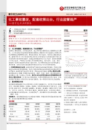 点评报告：化工事故屡发， 配套政策出台， 行业监管趋严