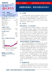 业绩维持高增长,新项目提供成长动力