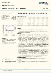 业绩略超预期，看好公司2019年增长空间
