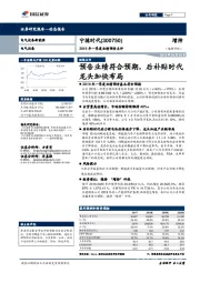 2019年一季度业绩预告点评:预告业绩符合预期,后补贴时代龙头加快布局