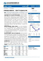 补贴退坡业绩承压，看好产品高端化升级
