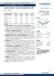 年报点评：业绩符合预期，电动车将延续高增长态势
