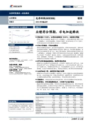 2018年年报点评：业绩符合预期，非电加速释放