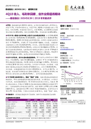 2018年年报点评：4Q18收入、毛利率回暖，省外业务值得期待