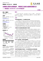 2018年年报点评：分销核心竞争力持续提升，零售和工业发力成新利润增长点