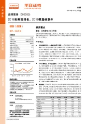 2018如期高增长,2019更是收获年