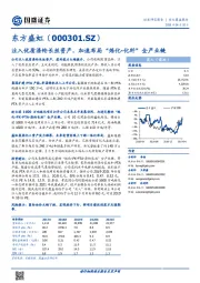 注入优质涤纶长丝资产,加速布局“炼化-化纤”全产业链