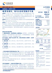 销量高增长，国内业务有望稳步开展