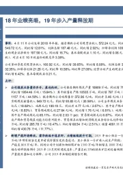 年报点评：18年业绩亮眼，19年步入产量释放期