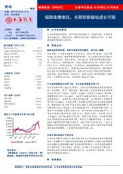 短期业绩承压，长期双轮驱动成长可期