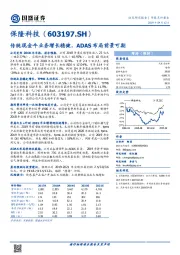 传统现金牛业务增长稳健，ADAS布局前景可期