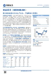 国内领先袜类及内衣生产企业，产能释放订单增长