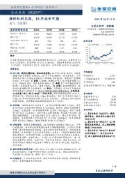 提价红利兑现，19年成长可期