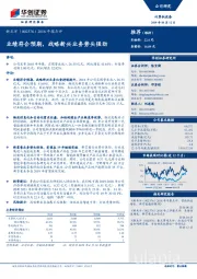 2018年报点评：业绩符合预期，战略新兴业务势头强劲