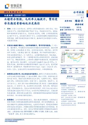 业绩符合预期，毛利率大幅提升，费用受非长期因素影响处历史高位