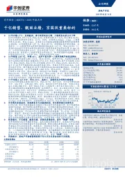 2018年报点评：千亿销售，靓丽业绩,京国改重要标的