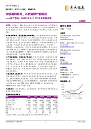 2018年年报点评：业绩再创新高，不断突破产能瓶颈