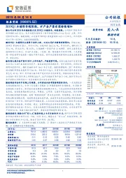 2019Q1业绩预告超预期，矿产金产量有望持续增加