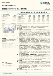 调味品稳健增长，多元化渠道共成长