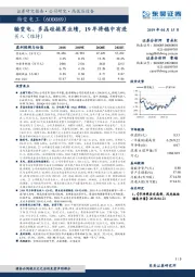 输变电、多晶硅拖累业绩,19年将稳中有进