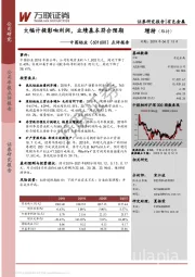 点评报告：大幅计提影响利润，业绩基本符合预期