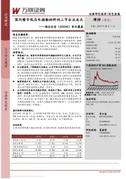 首次覆盖：国内精专低压电接触材料的上市企业龙头