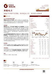 2018年业绩不及预期，燃料成本上升、发电量下滑拖累