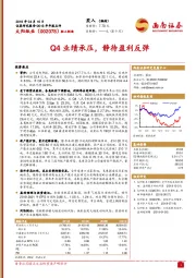 Q4业绩承压，静待盈利反弹