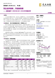 2018年年报点评:双主业共扬帆,开启新发展