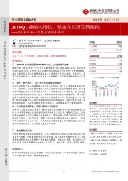 2019年第一季度业绩预告点评：2019Q1业绩高增长，积极布局互联网医院