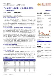 麦格米特年报点评：平台建设步入收获期，多业务持续高增长